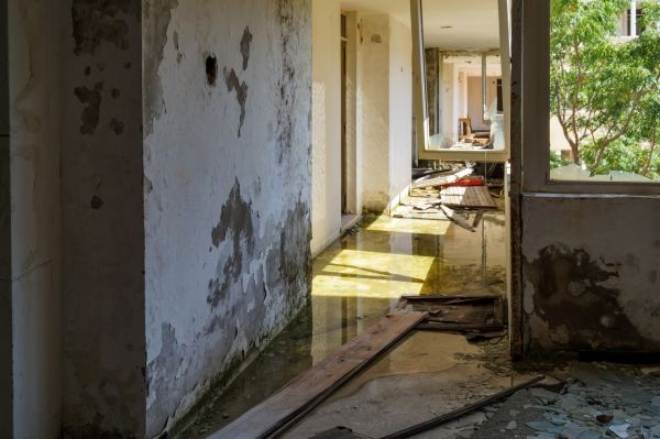 Cost of Water Removal Service in Midlothian